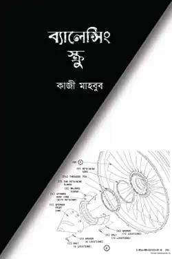 ব্যালেন্সিং স্ক্রু (হার্ডকভার)